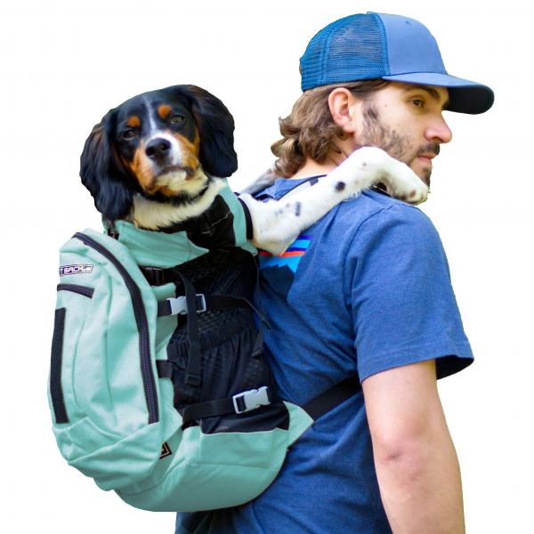 Przewodnik kupującego: Wybór najlepszego plecaka dla psa na wędrówki