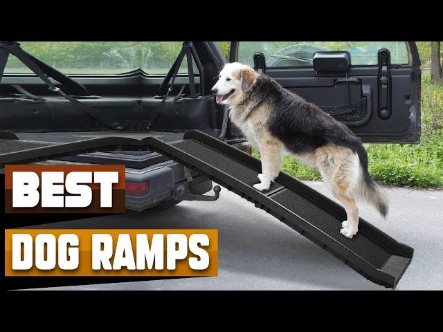 Przewodnik kupującego: Wybór najlepszej rampy dla psa do SUV-ów, ciężarówek i samochodów