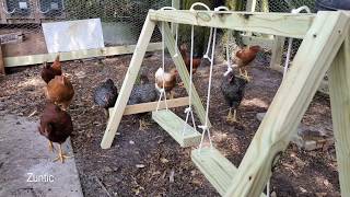 1. DIY huśtawka dla kurczaka do kurnika autorstwa Farm House Fit Chick