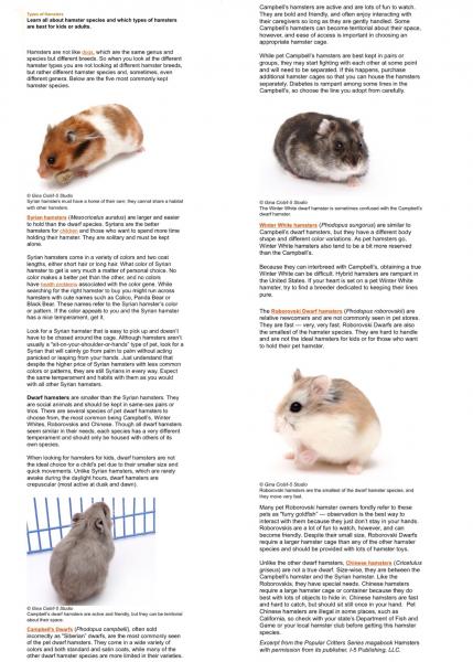 5 typów ras chomików, które świetnie nadają się na zwierzęta domowe (ze zdjęciami)