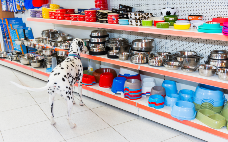 Plastikowe a metalowe miski dla psów: Która jest odpowiednia dla twoich potrzeb?