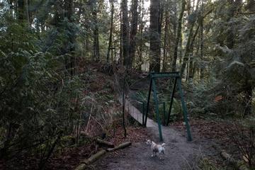 1. Mount Si Trail - położony w North Bend, ten popularny szlak oferuje wymagającą wędrówkę i satysfakcjonujące widoki na okoliczne góry.