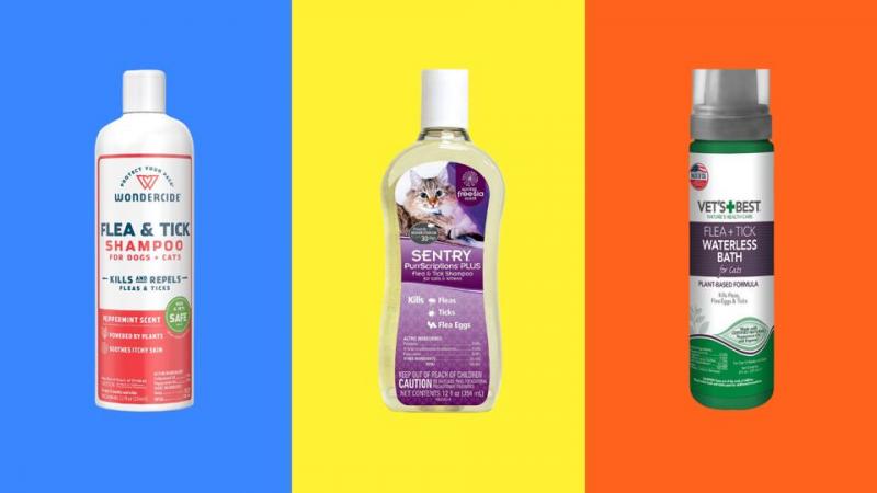 10 najlepszych szamponów przeciw pchłom dla kotów