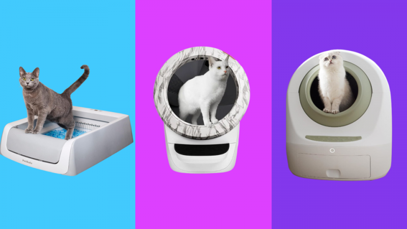 6 najlepszych automatycznych kuwet dla kotów do samodzielnego czyszczenia w 2024 roku - recenzje i najlepsze propozycje