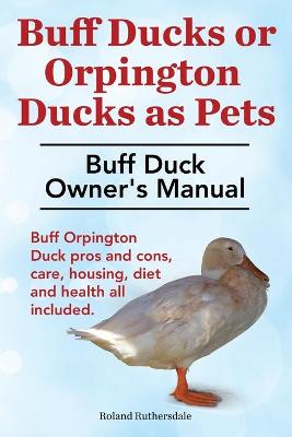 Jak dbać o kaczki rasy Buff Orpington?