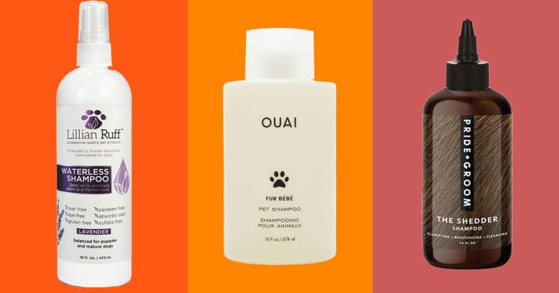 11 najlepszych naturalnych szamponów dla psów