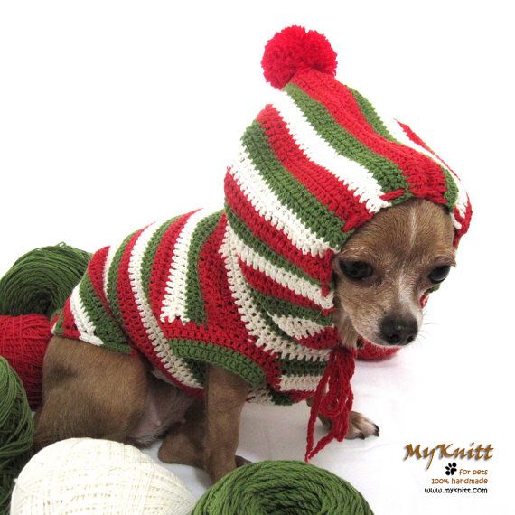 13 niesamowitych świątecznych swetrów DIY dla psów (ze zdjęciami)