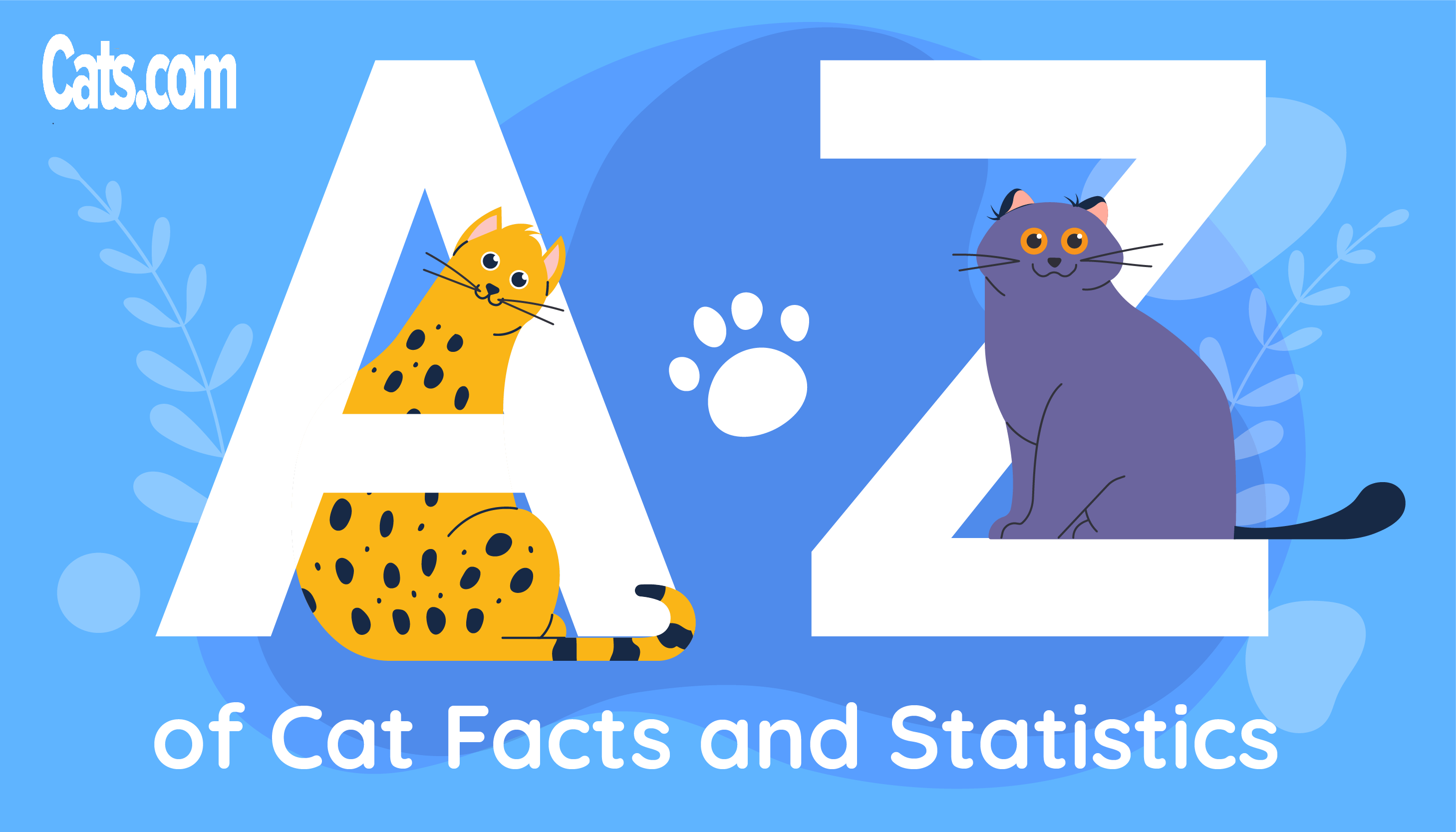 Ile jest kotów domowych? Statystyki dla USA i całego świata w 2024 r.