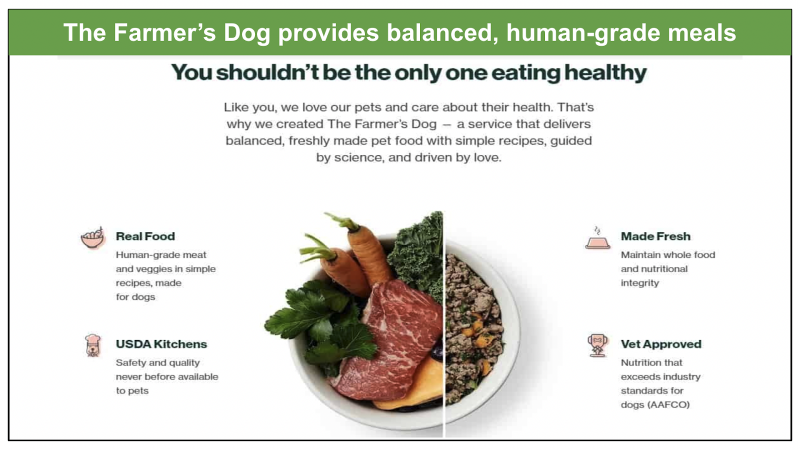 3 najpopularniejsze przepisy na karmę Just Food For Dogs