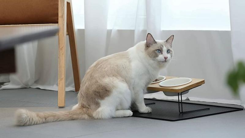 1. Hepper NomNom Luxury Modern Cat Bowl - Najlepszy wynik ogólny