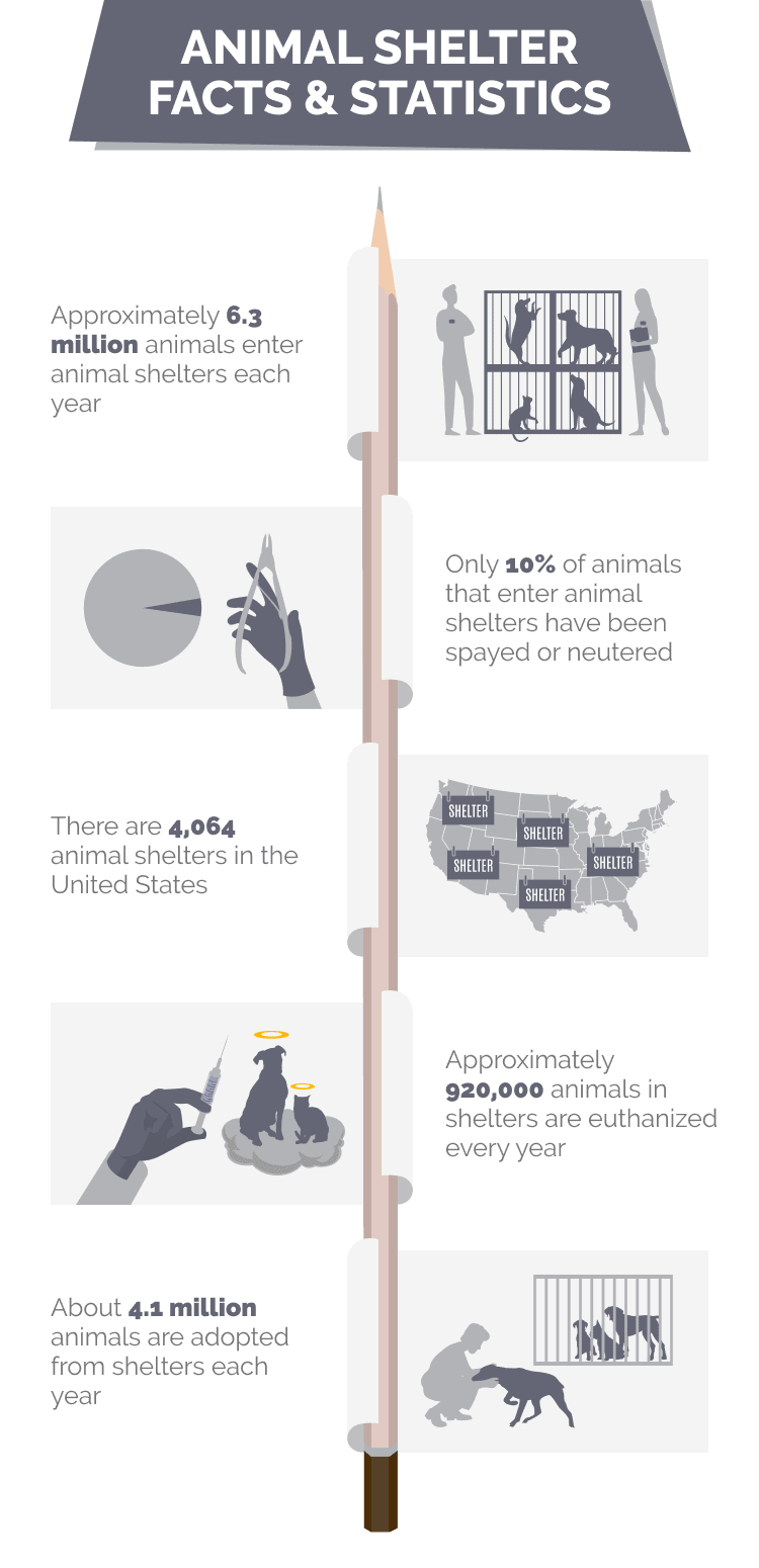 4. Większość zwierząt trzymanych w niewoli jest przetrzymywana w warunkach, które są sprzeczne z ich środowiskiem naturalnym.