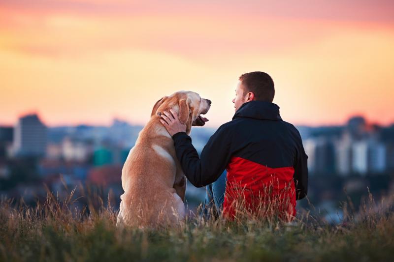 4. undefinedCanine Paradise: Położony w malowniczej Krainie Jezior, Canine Paradise to spełnienie marzeń właściciela psa. Dzięki rozległym otwartym polom, leśnym szlakom i spokojnym jeziorom, park ten zapewnia nieskończone możliwości biegania, zabawy i spotkań towarzyskich z innymi psami.