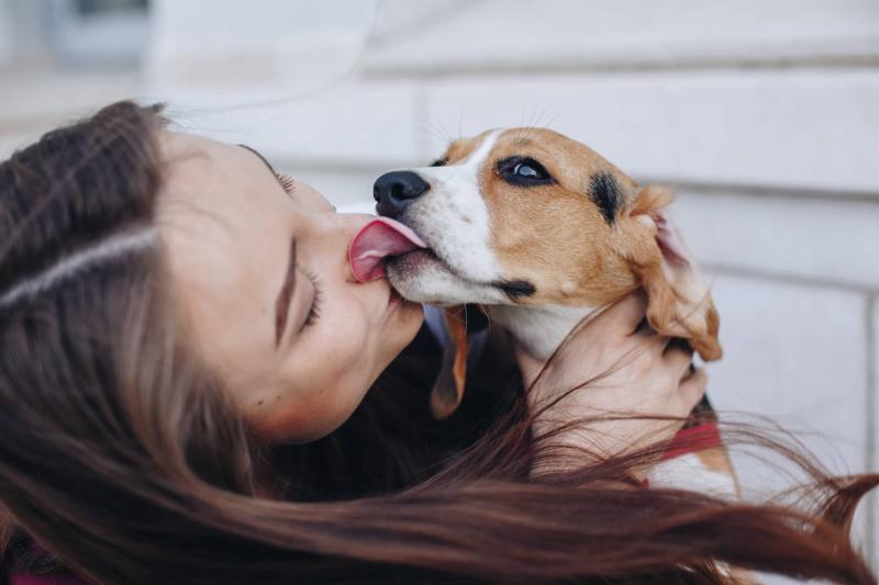 Czy wszystkie psy lubią pocałunki?