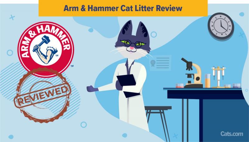 Arm and Hammer Puder dezodorujący do kociej kuwety - recenzja 2024