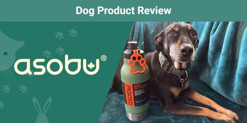 Recenzja produktu Asobu Green Buddy Bottle dla psa 2024: Opinia naszego weterynarza
