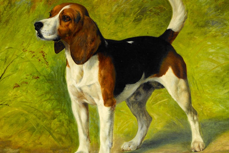 Beagle: