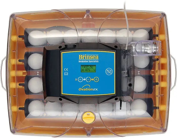 5. VIVOHOME Inkubator do jaj Mini cyfrowa maszyna do wylęgu drobiu