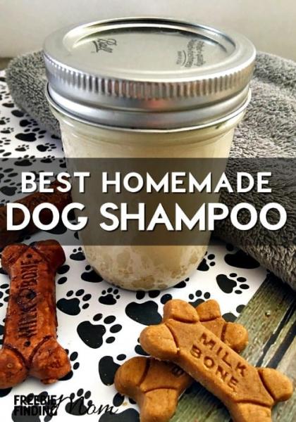 Domowe szampony dla psów stanowią naturalną i niedrogą alternatywę dla produktów kupowanych w sklepach. Używając składników, które są bezpieczne i delikatne dla skóry zwierzęcia, można stworzyć szampon, który sprawi, że sierść psa będzie lśniąca, miękka i pachnąca. Ponadto, stworzenie własnego szamponu pozwala dostosować go do konkretnych potrzeb psa, niezależnie od tego, czy ma on wrażliwą skórę, czy też jest podatny na alergie.