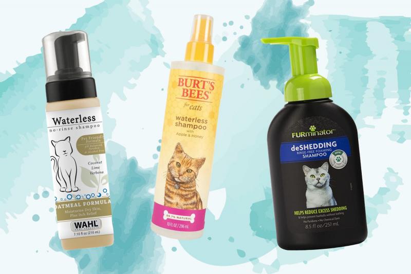 Jak używać suchego szamponu dla kotów?