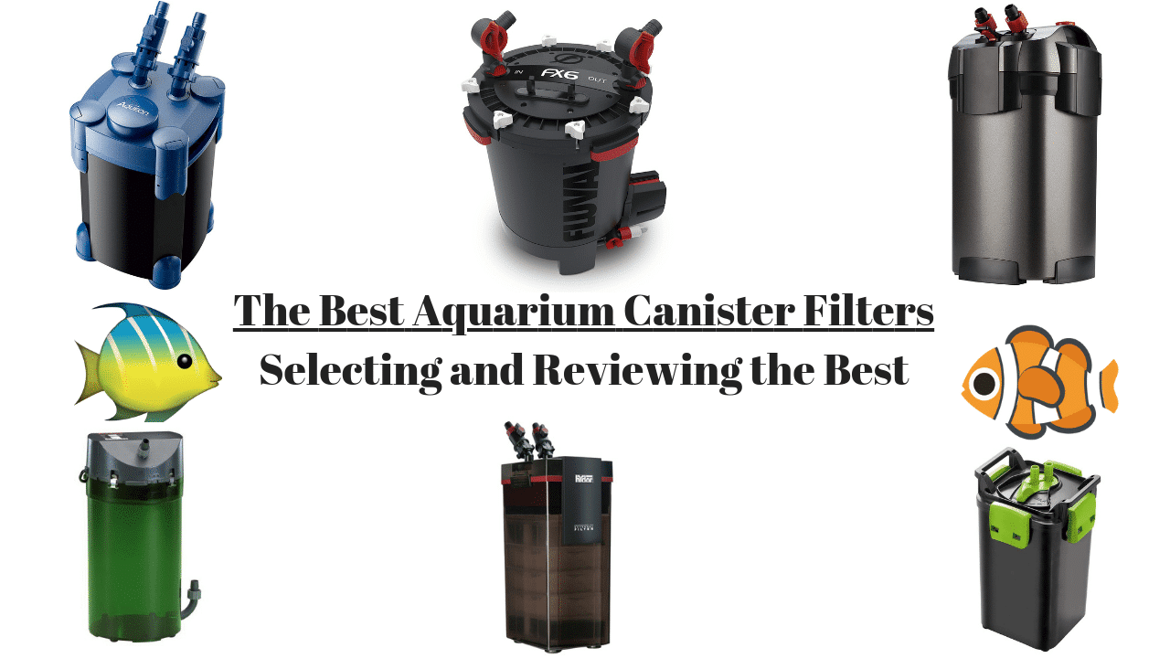 10 najlepszych filtrów kanistrowych do akwarium dla zdrowych ryb