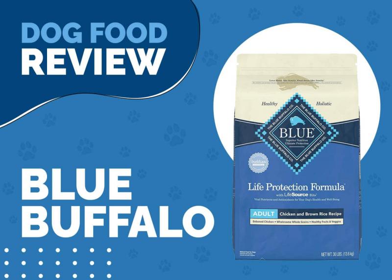Wellness Dog Food vs Blue Buffalo: Plusy, minusy i co wybrać