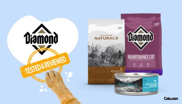 Recenzja karmy dla psów Diamond Naturals 2024: Plusy, minusy, wycofanie z rynku i najczęściej zadawane pytania
