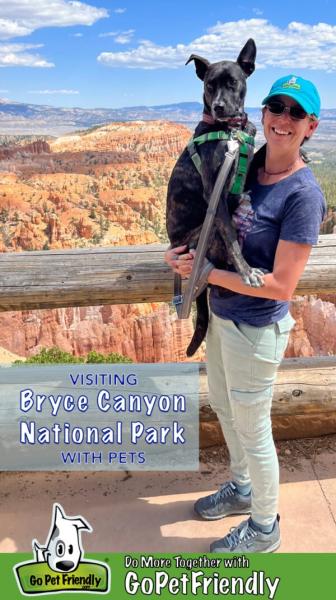 Czy psy są dozwolone w Bryce Canyon (aktualizacja 2024)