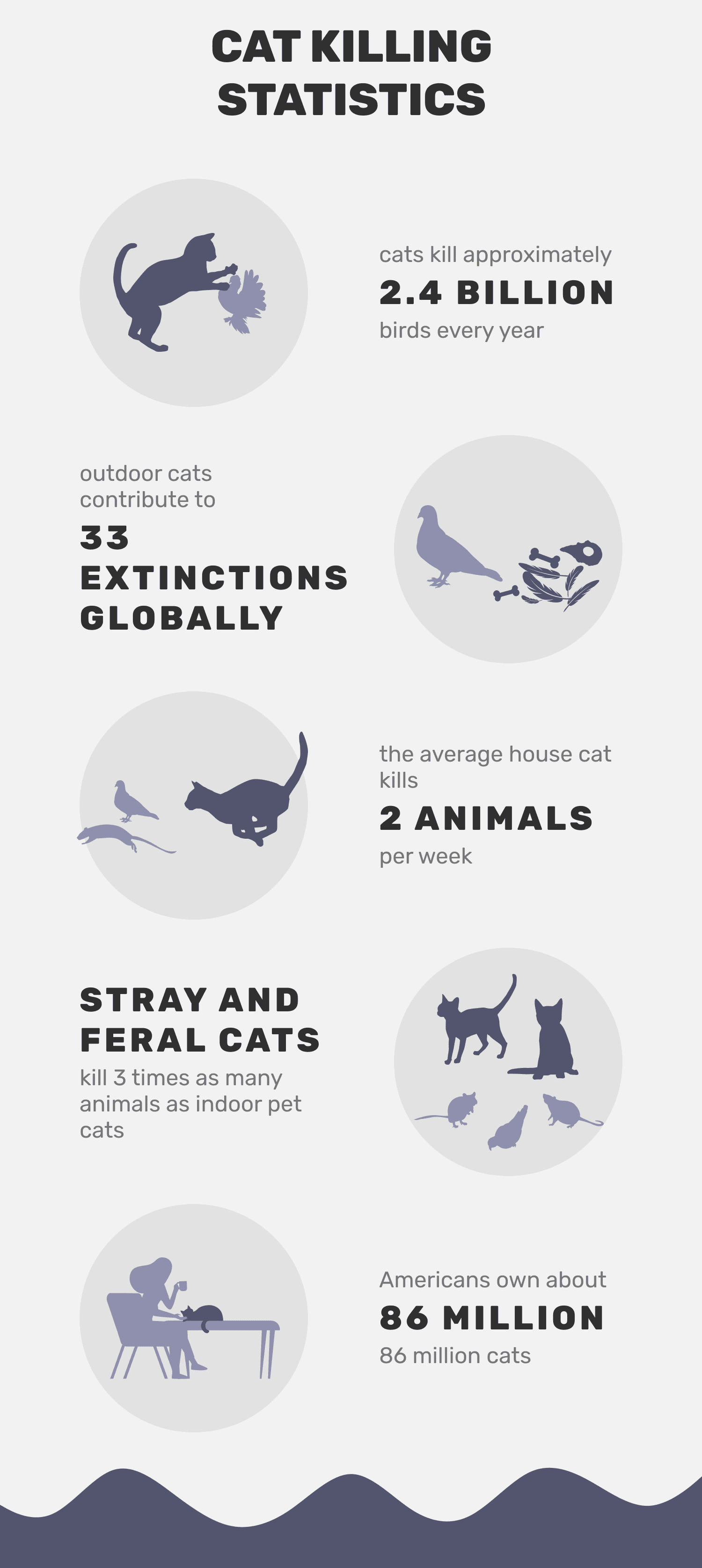 Ile ptaków zabijają koty każdego roku? Statystyki do poznania w 2024 roku