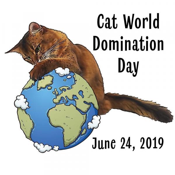 Światowy Dzień Dominacji Kotów 2024: Kiedy to jest i jak świętować