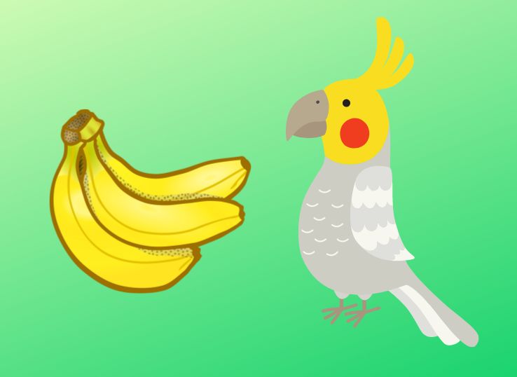 Czy kakadu mogą jeść suszone banany?