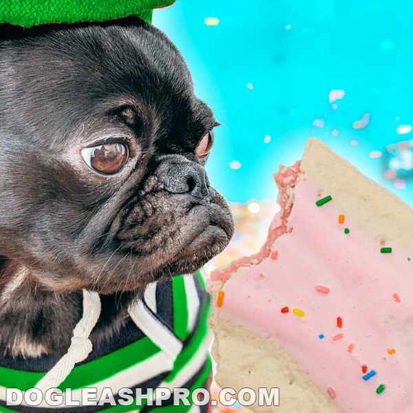 Dlaczego Twój pies nie powinien jeść ciastek Pop-Tarts?