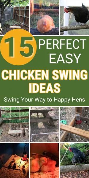 7 planów huśtawek dla kurczaków, które możesz zbudować już dziś (ze zdjęciami)