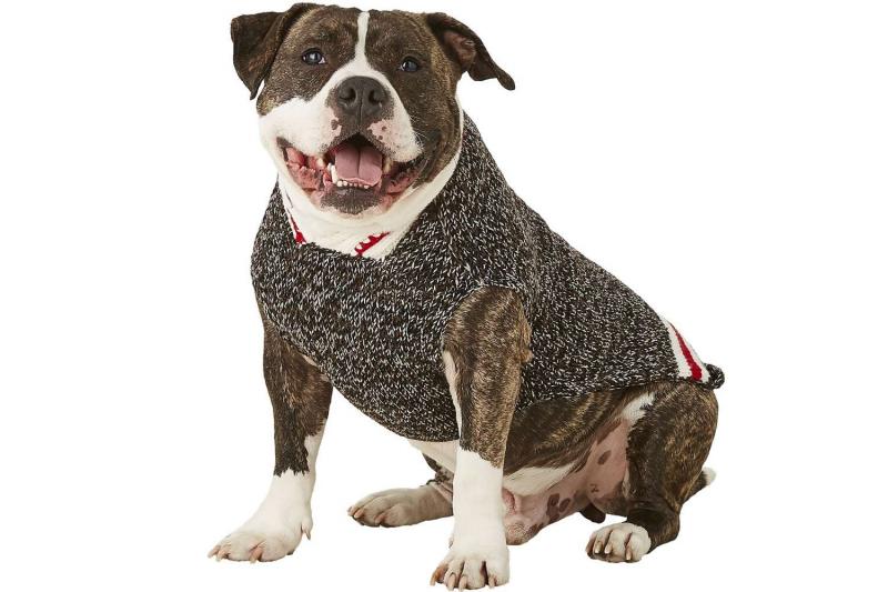 6. Frisco Buffalo Plaid Sweter dla psa i kota