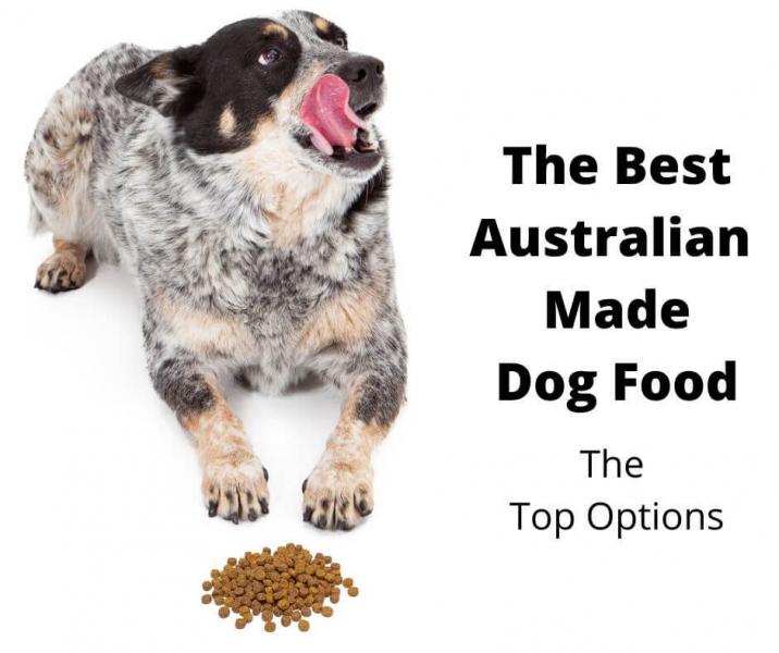 8 najlepszych karm dla psów rasy Mini Aussie w 2024 roku - recenzje i najlepsze propozycje