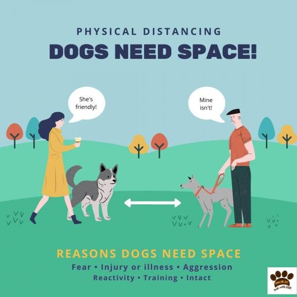 copy-of-dogs-need-space-5754535-2372628