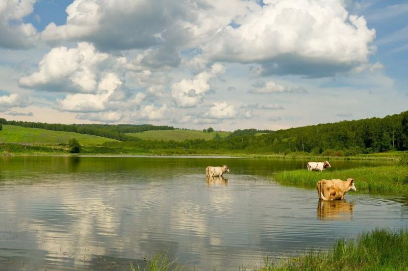 2. Chłodzenie i relaks