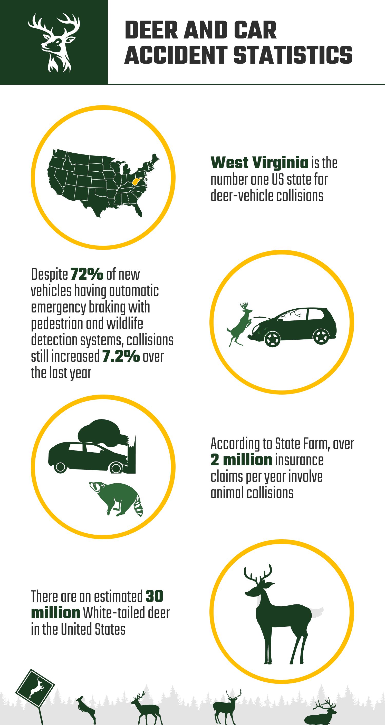 1. Każdego roku ponad milion jeleni zostaje potrąconych przez samochody.