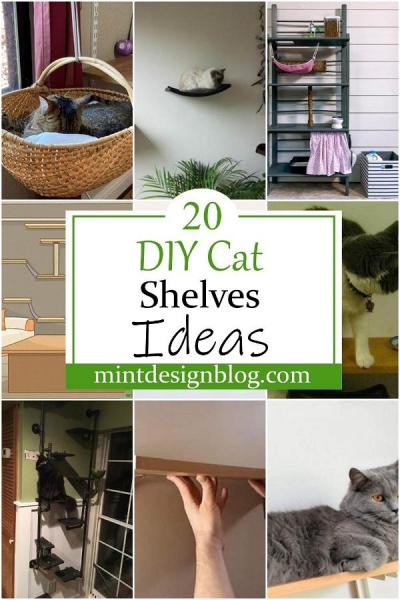 2 niesamowite pomysły na półkę dla kota DIY