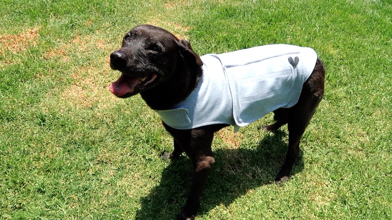 1. DIY Thunder Shirt by My Old Country House