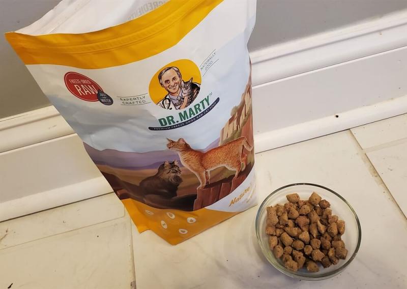 Dr. Marty's Nature's Feast Cat Food Review 2024 - Opinia naszego eksperta