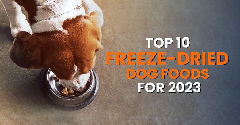 dn-top-10-freezedrieddogfoodsfor2023-1553473-3389960