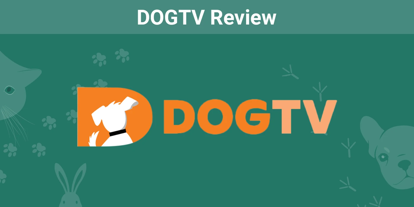 Recenzja DOGTV 2024: Opinia naszego eksperta - wady, zalety i werdykt