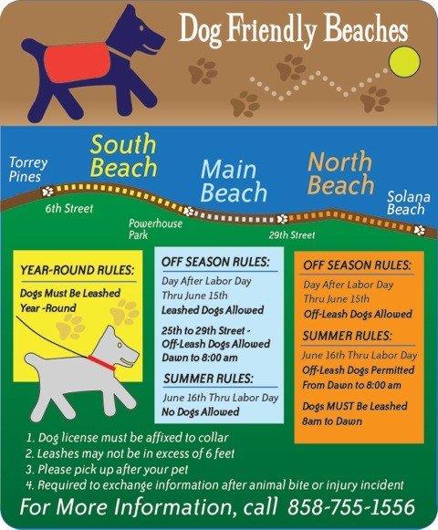 Zasady i przepisy dotyczące wprowadzania psów do Orange Beach