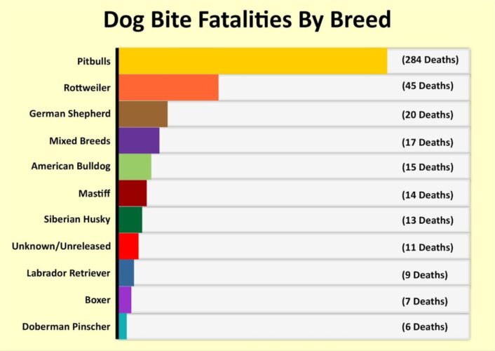 12 Kanadyjskie statystyki pogryzień przez psy 2024: Rasy, incydenty, zgony i najczęściej zadawane pytania