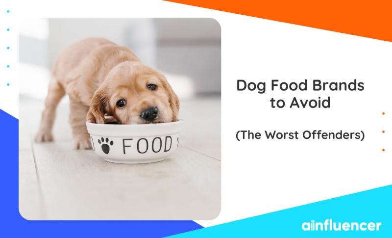 Jakich składników unikać w karmie dla psów: 6 dodatków, których należy unikać