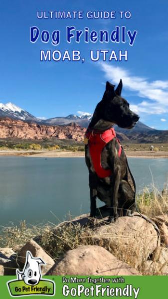 4. undefinedGarden of the Gods : Położony w Colorado Springs, Garden of the Gods to geologiczny cud i obowiązkowa wizyta dla właścicieli psów. Park oferuje ponad 15 mil szlaków, które wiją się przez wysokie formacje skalne i oferują zapierające dech w piersiach widoki. Psy są dozwolone na większości szlaków, ale muszą być na smyczy.