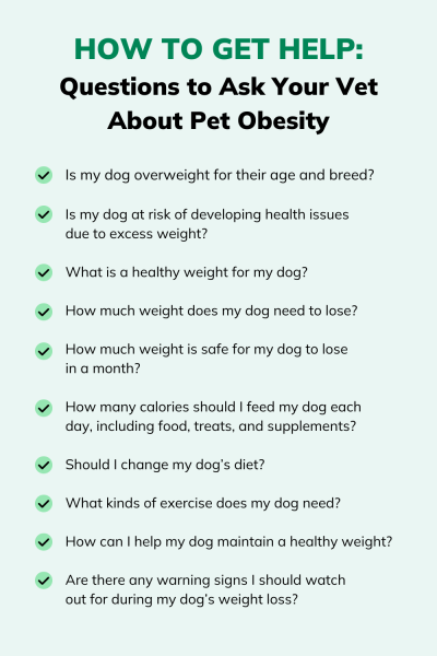Jak waga wpływa na psa?