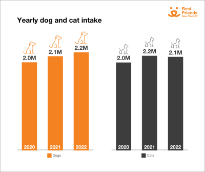 6. Szacuje się, że każdego roku w schroniskach eutanazji poddawanych jest 1,5 miliona psów i kotów.