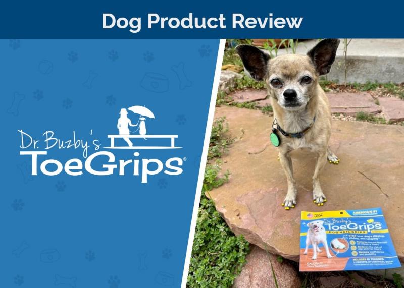 Dr. Buzby's ToeGrips for Dogs Review 2024: Opinia naszego eksperta