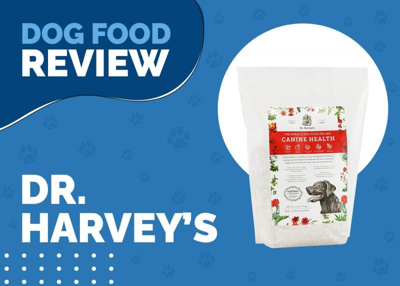 Recenzja karmy dla psów Dr. Harvey's